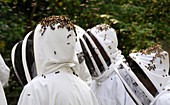 Beekeepers and bees