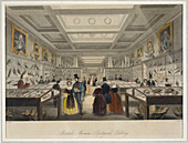 The British Museum's Zoological Gallery