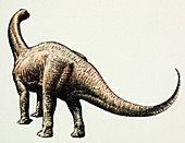 Euskelosaurus prosauropod dinosaur