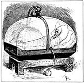 Electric incubator,19th century