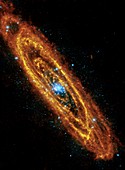 Andromeda Galaxy,composite image
