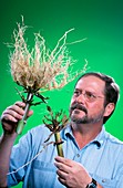 Plant pest control research