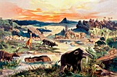 1888 colour lithograph Tertiary mammals