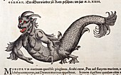1560 Gesner mermaid sea monster