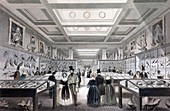 1841 British Museum Zoological Gallery c