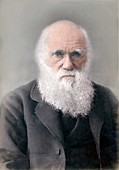 1879 Colour Charles Darwin photograph
