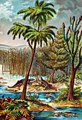 1888 colour lithograph of Permian swamp