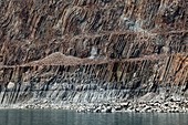 Columnar basalt,Hong Kong