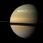 Storm on Saturn,Cassini image