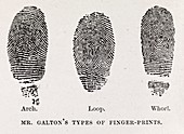 Fingerprint types,19th century
