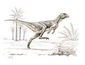Heterodontosaurus dinosaur