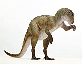 Heterodontosaurus dinosaur