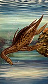 Plesiosaurus marine reptile