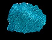 Brochantite specimen