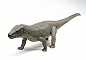 Euparkeria dinosaur model