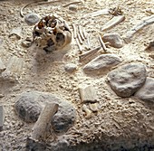 Neanderthal burial site