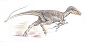 Sinosauropteryx dinosaur,artwork