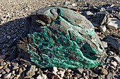 Copper mineral deposits,Antarctica