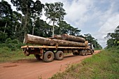 Logging truck in the Congo Basin