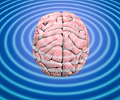 Brain waves,conceptual image