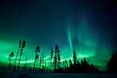 Northern lights