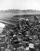 Irish peat production,1880-1930