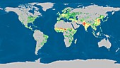 Global use of plant resources,2005
