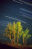 Star trails over Iranian desert