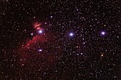 Orion's Belt and nebulae