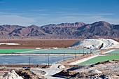 Lithium evaporation ponds