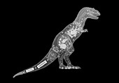 Toy robot dinosaur,X-ray