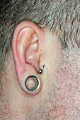 Ear piercing and flesh tunnel
