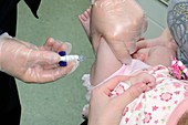 Prevenar vaccine injection