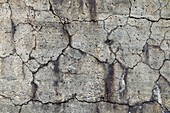 Cracks in concrete