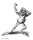 Dancing frog,conceptual artwork