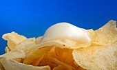 Fat content in crisps,conceptual image