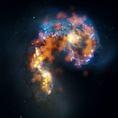 Antennae Galaxies,ALMA-HST image