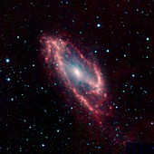 Maffei 2 galaxy,infrared image