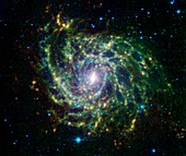 IC 342 spiral galaxy,infrared image
