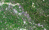 Gezira irrigation scheme,satellite image