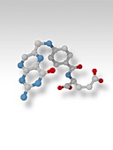 Folic acid molecule