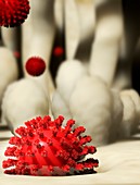 Flu virus infection,conceptual image