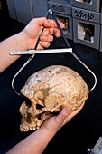 Neanderthal research,La Ferrassie 1