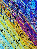Quartz mineral stone,light micrograph