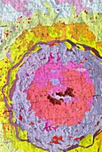 Copernicus crater,Moon,geologic map