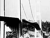 Tacoma Narrows Bridge collapse,1940
