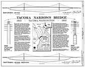 Tacoma Narrows bridges compared