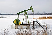 Oil pump,Germany