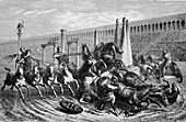 Chariot racing,Ancient Rome