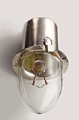 Krypton-filled incandescent light bulb